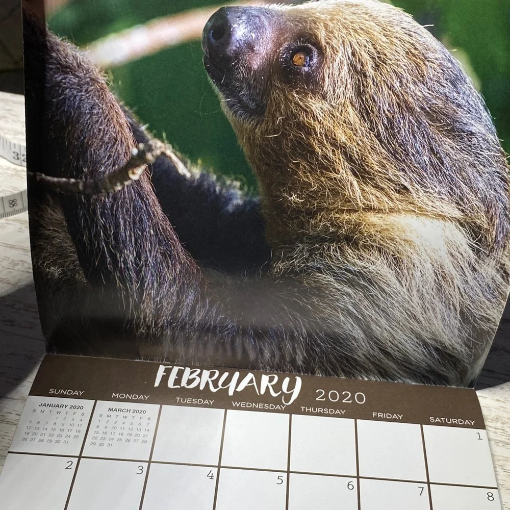 Sloths 2020 Calendar Unused New 7”x7”
